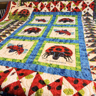 The Grouchy Ladybug Quilt & Books